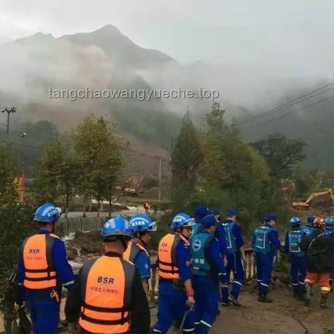 **龙舟赛上划最快的原来是救援队：一场速度与激情的意外之旅**