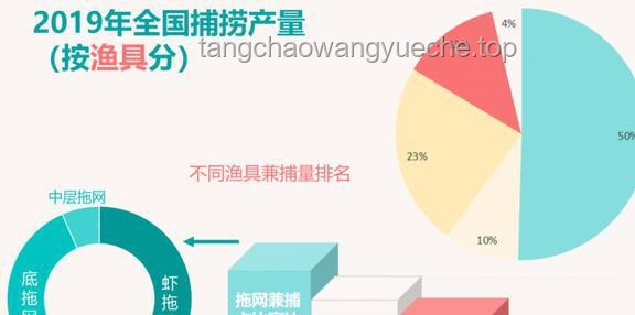 人类直立行走极端小概率事件探究